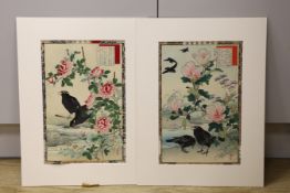 Kono Bairei (1844-1895), pair of Japanese woodblock prints, Birds and Flowers, 36 x 24cm, unframed