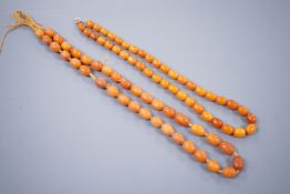 Two single strand amber bead necklaces, gross 26 grams and 17.6 grams