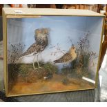 A Victorian cased taxidermic group of two birds, Ruff and Reeve, bears Pratt & Son, Brighton