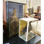 A Victorian cased taxidermic water bird and another, larger width 46cm, height 73cm