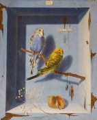Pavel Yermolov (b.1971) oil on canvas, Study of two budgerigars, signed and inscribed verso, 34 x