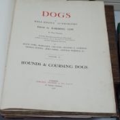 ° ° Book: Hounds and Coursing dogs