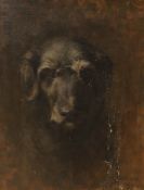T. Cochrane, oil on canvas, Portrait of an black dog, signed and dated 1911, 50 x 40cm