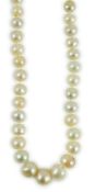 A single strand graduated natural saltwater pearl necklace, with Gem and Pearl Laboratory report