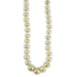 A single strand graduated natural saltwater pearl necklace, with Gem and Pearl Laboratory report