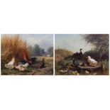 Carl Jutz (German, 1838-1916) Chickens in a field & Ducks beside a streampair of oils on