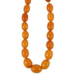 A single stand graduated oval amber bead necklace, 76cm, gross weight 85 grams.**CONDITION REPORT**A