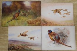 George Rankin (1864-1937), four watercolours, game birds, all signed, unframed, largest 29 x 44.5cm