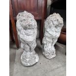 A pair of reconstituted stone seated lion garden ornaments, height 52cm