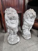 A pair of reconstituted stone seated lion garden ornaments, height 52cm