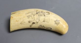 A 19th century scrimshaw sperm whale tooth, inscribed CONCORDIA, decorated with a seated gentleman