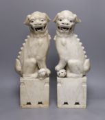 A pair of large Chinese biscuit porcelain lion-dog figures,45 cms high,