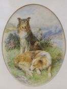 Basil Bradley, watercolour, Collies, signed, 22.5 x 17cm