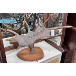 A single wall mounted moose antler, height 75cm