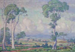CCL Open landscape with trees to the foreground, possibly Australia with eucalyptus treesoil on