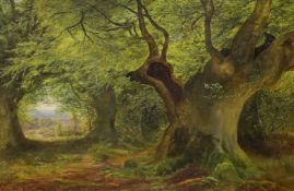 Alfred Benjamin Cole (fl.1867-1883), oil on canvas, 'In The Burnham Beeches', signed and dated 1880,