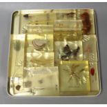 A quantity of perspex cased natural history specimens