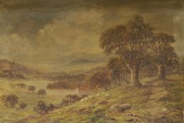 Sidney Yates Johnson (fl.1890-1926), oil on canvas, Sheep on a hillside, signed, 31 x 46 cm.