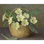 Gerald Norden (1912-2000), oil on board, Primroses in a basket, signed and dated '84, 14 x 16cm