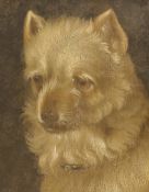 19th century English School, oil on wooden panel, Study of a white terrier, 21 x 17cm