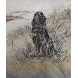 Henry Wilkinson (1921-2011), coloured etching, Gordon Setter in a landscape, signed in pencil, 145/