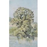 Clark Rampling (c.1850), An oak by a pool Hatton Water, Lancashire, watercolour, 13 x 8.25cm