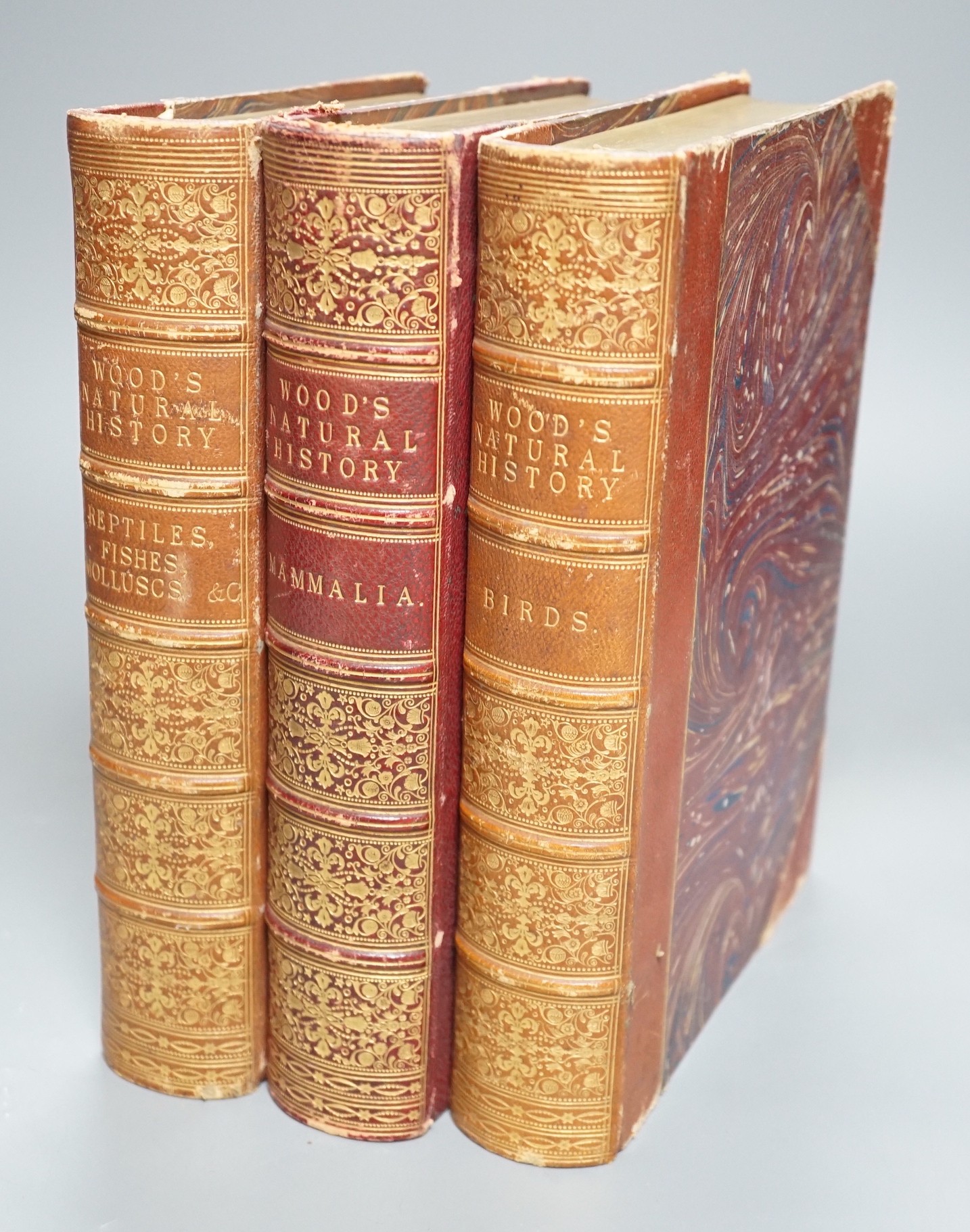 ° ° Wood, Rev. J.G. - The Illustrated Natural History, 3 vols. many engraved illus.; contemp. red