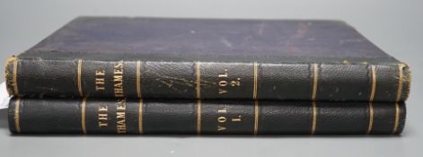 ° ° Armstrong, Walker - The Thames: from its rise to the Nore. 2 vols. pictorial engraved and