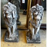 A pair of reconstituted stone seated lion garden ornaments, height 55cm