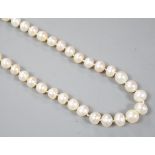 An early 20th century single strand cultured? pearl necklace, with diamond cluster set white metal
