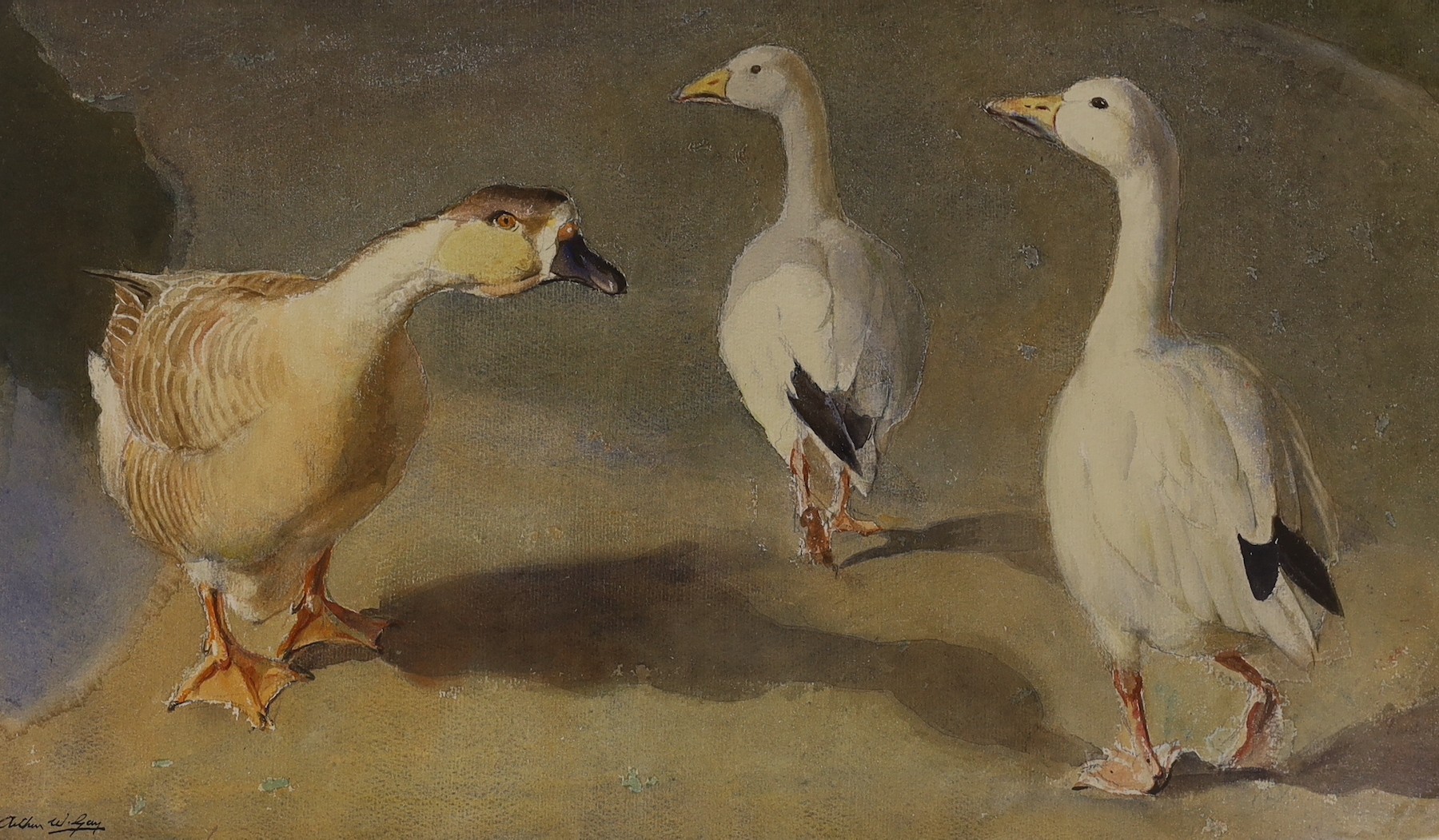 Arthur W. Gay (1901-1958), watercolour, Geese and ducks, signed, 31 x 52cm, with two small still - Image 4 of 4