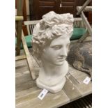 A plaster bust of Apollo, height 49cm