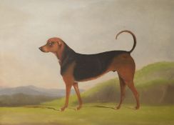 Joseph Benstead (19thC), oil on card, Primitive portrait of a hound 'Shonto', signed and dated