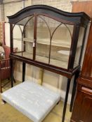 An Edwardian parcel ebonised mahogany museum cabinet with two glazed doors on slender turned tapered