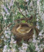 Amy Katherine Browning (1881-1978), oil on board, 'Mother Thrush', signed with RI Exhibition label