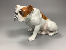 A Heubach porcelain model of a bulldog, 25.5 cm long