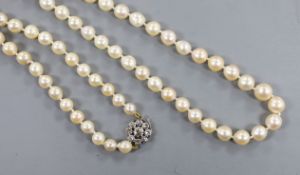 A single strand cultured pearl necklace, with diamond cluster set yellow and white metal clasp,