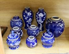 A group of Chinese blue and white prunus vases and jars and covers and jars,pair of vases 23 cms