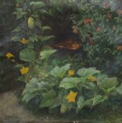 Leischler, oil on canvas, Sketch of courgette plant in a garden, signed and dated '37, 43 x 44cm