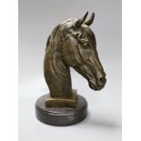 After Barye, a bronze of a horse's head on plinth base, 32cm tall