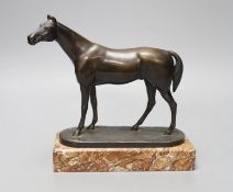 A 20th century bronze model of a horse, signed ‘K.Steiner’ the edge of the base incised ‘Ferd.Reiter