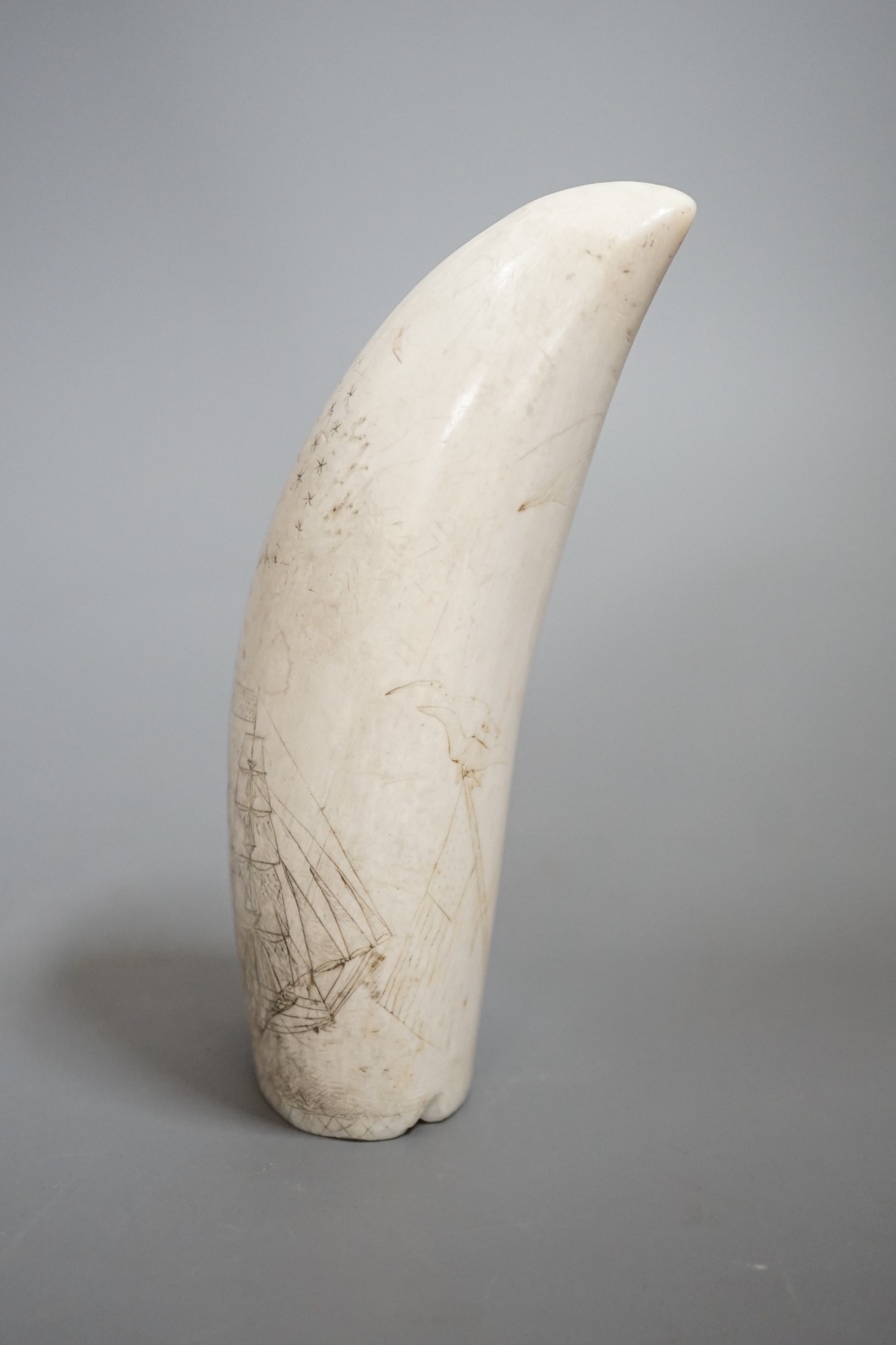 A 19th century scrimshaw sperm whale tooth, 13cm high - Image 3 of 6