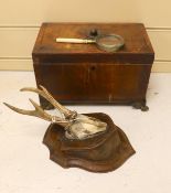 A George IV mahogany tea caddy (a.f.), together with a mounted antler plaque, and a bone handled