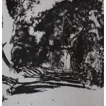 Norman Ackroyd (b.1938-), etching and aquatint, 'Study of trees and sunlight - Selborne', signed