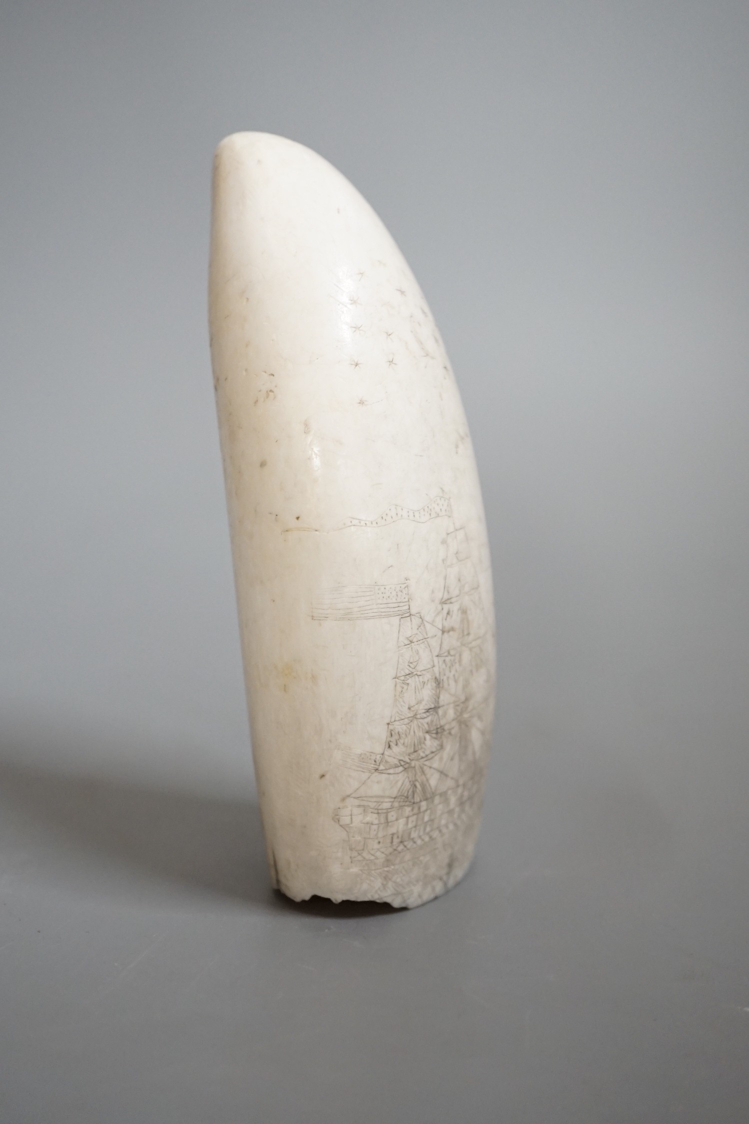 A 19th century scrimshaw sperm whale tooth, 13cm high - Image 5 of 6