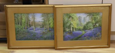 Albert Henry Findley (1880-1975), pair of watercolours, Bluebell Woods, signed, 27 x 37cm