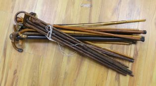 An assortment of walking sticks / canes