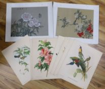 Seven unframed ornithological prints after Gould and Richter, 38 x 30cm and two Chinese watercolours