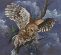 Marjorie Aman, watercolour and gouache, Perched owl, signed, 44 x 49cm