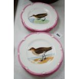 A set of nine Victorian porcelain ornithological plates, 23cm diameter,
